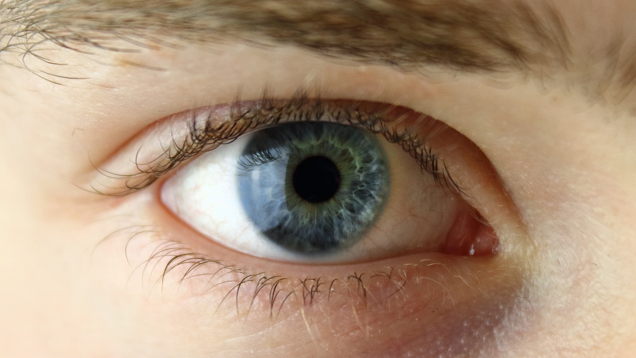 How to Draw A Realistic Eye for Beginners